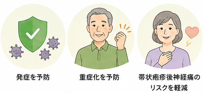 発症を予防／重症化を予防／帯状疱疹後神経痛のリスクを軽減